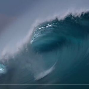 Meet your Posher, Zachary